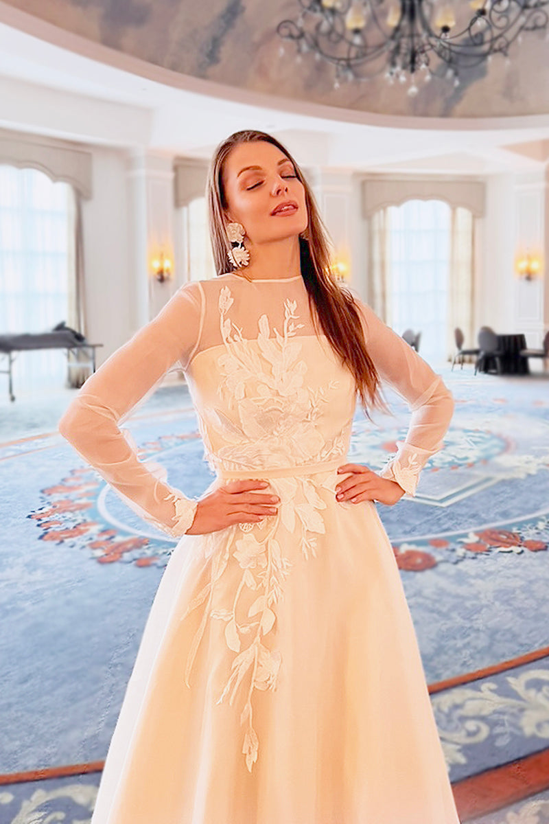 Hessen Silk Organza Gown with Embroided lace appliqus 2 Hessen Silk Organza Gown with Embroided lace appliqus 2