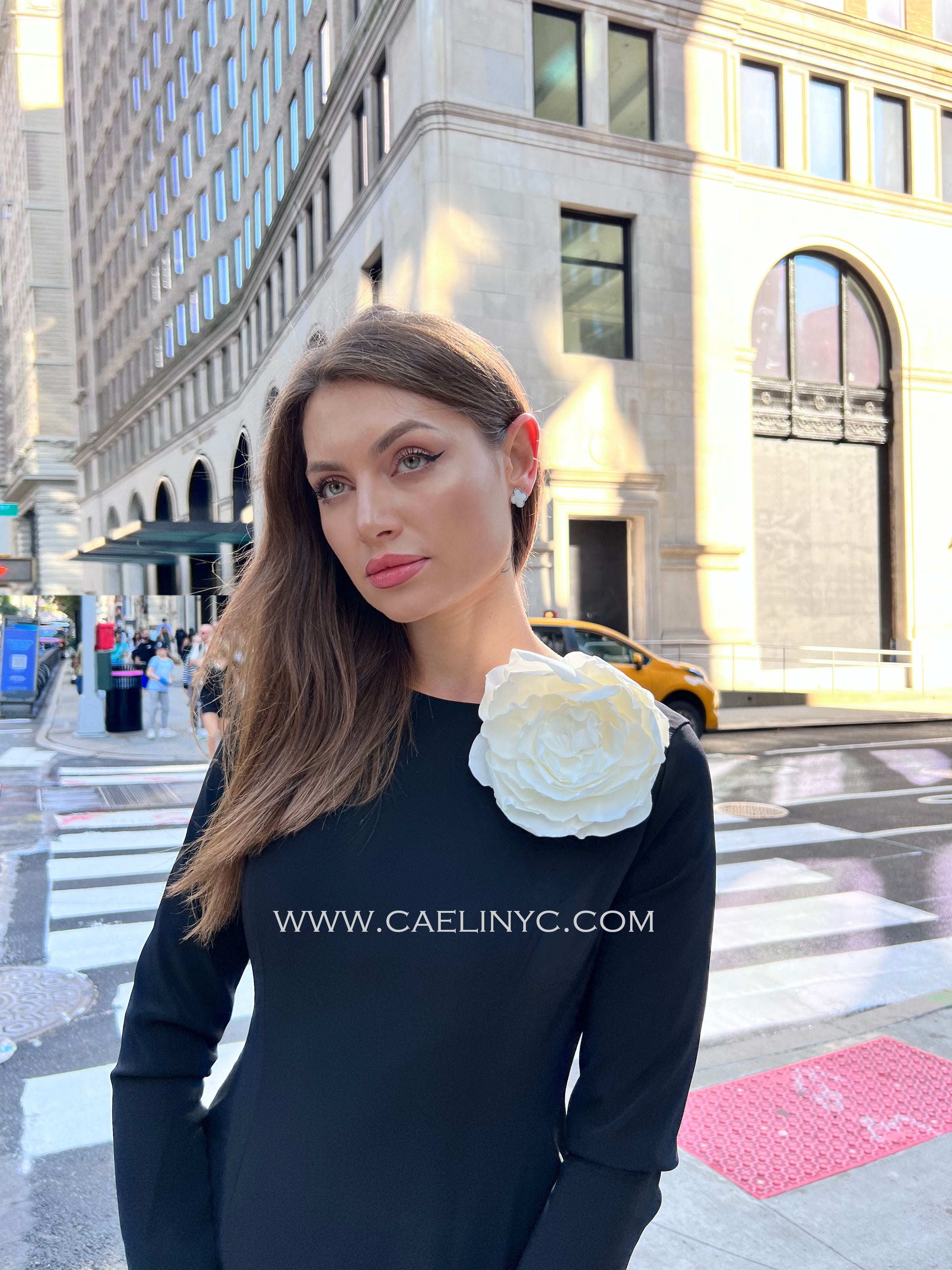 Dorothea A-line Long Sleeve Dress with Flower Applique 2 Dorothea A-line Long Sleeve Dress with Flower Applique 2