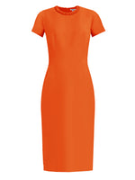 CaeliNYC Manhasset Sheath Dress with Sleeves More Colors